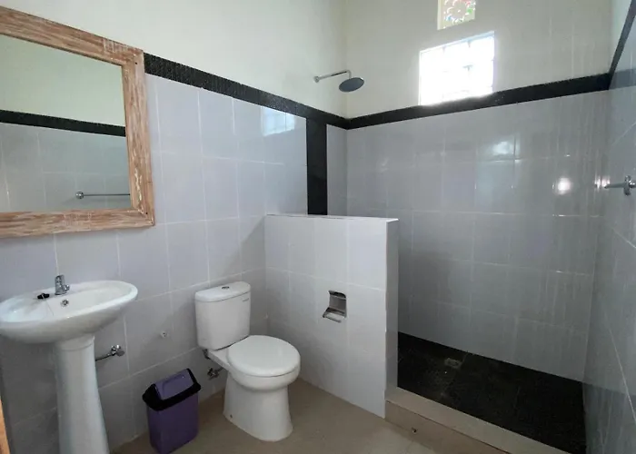 Comeon Séjour chez l'habitant Amed